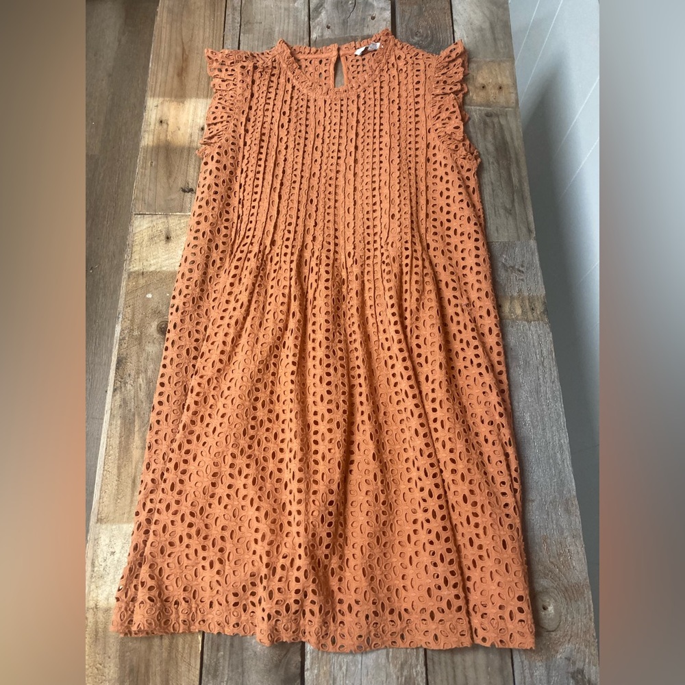 Madewell Eyelet Ruffle Sleeve Pintuck Dress